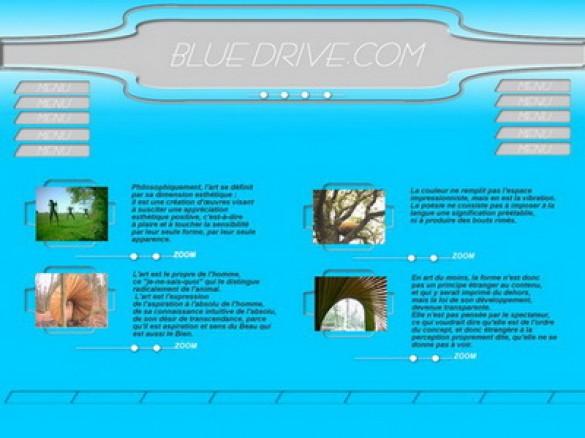 06-Site-bluedrive